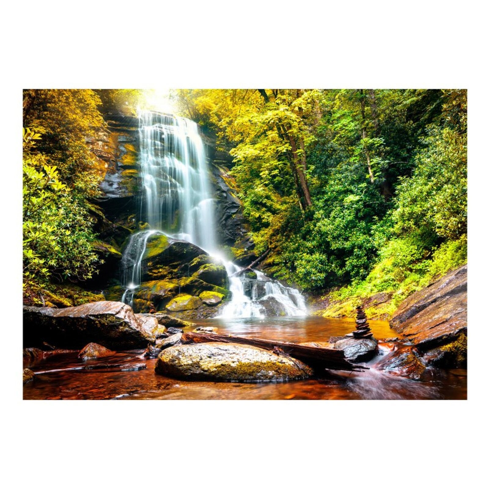 Papier peint une autre merveille de la nature - 250 x 175 cm - 2