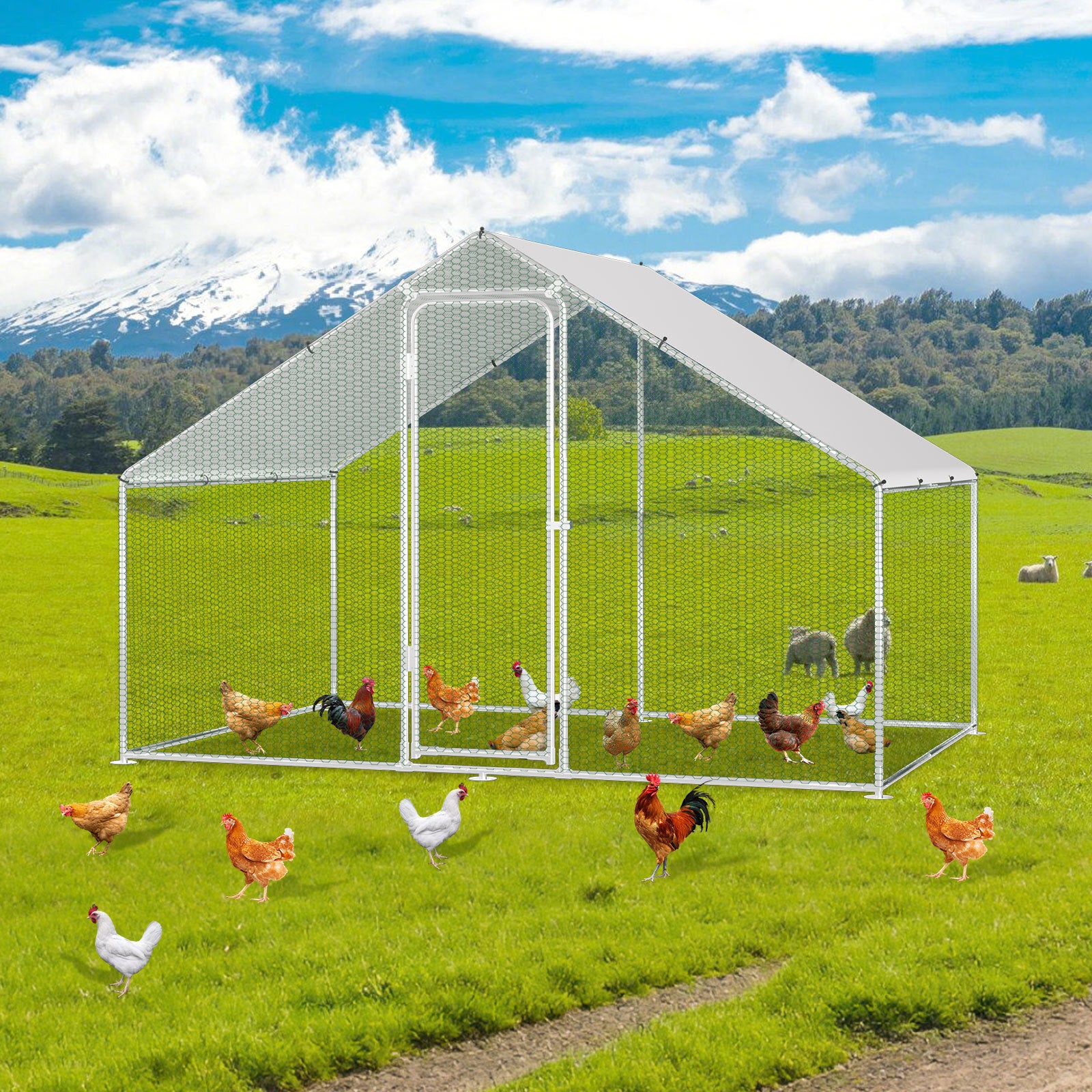 Galinheiro 3×2×2 m – Estrutura em aço galvanizado, viveiro externo, recinto para pequenos animais com porta - 8