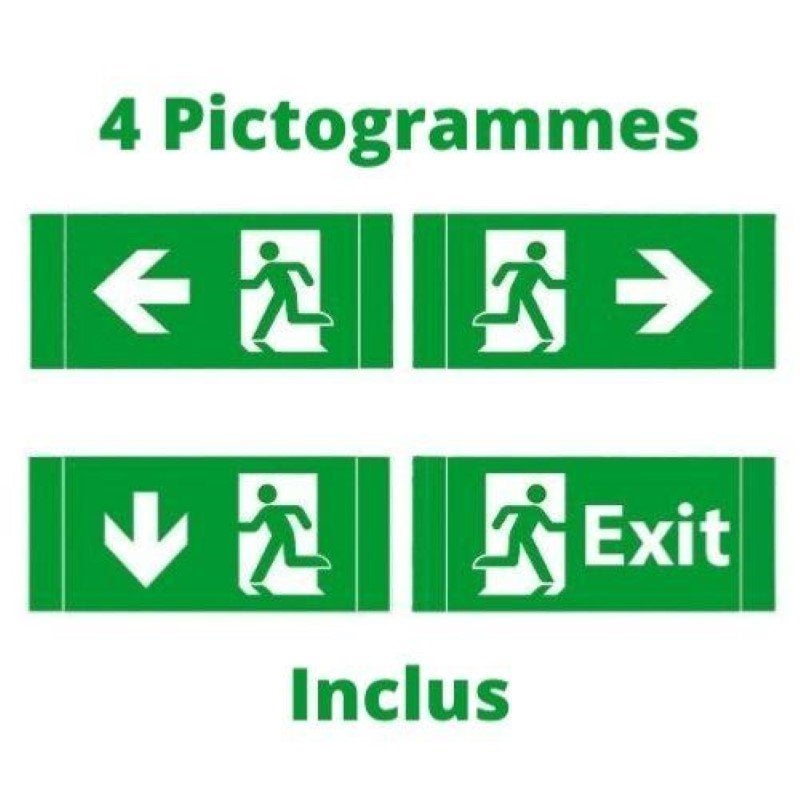 Bloc autonome d'éclairage de sécurité BAES 3h 3W 4 Pictogrammes - SILAMP - 2
