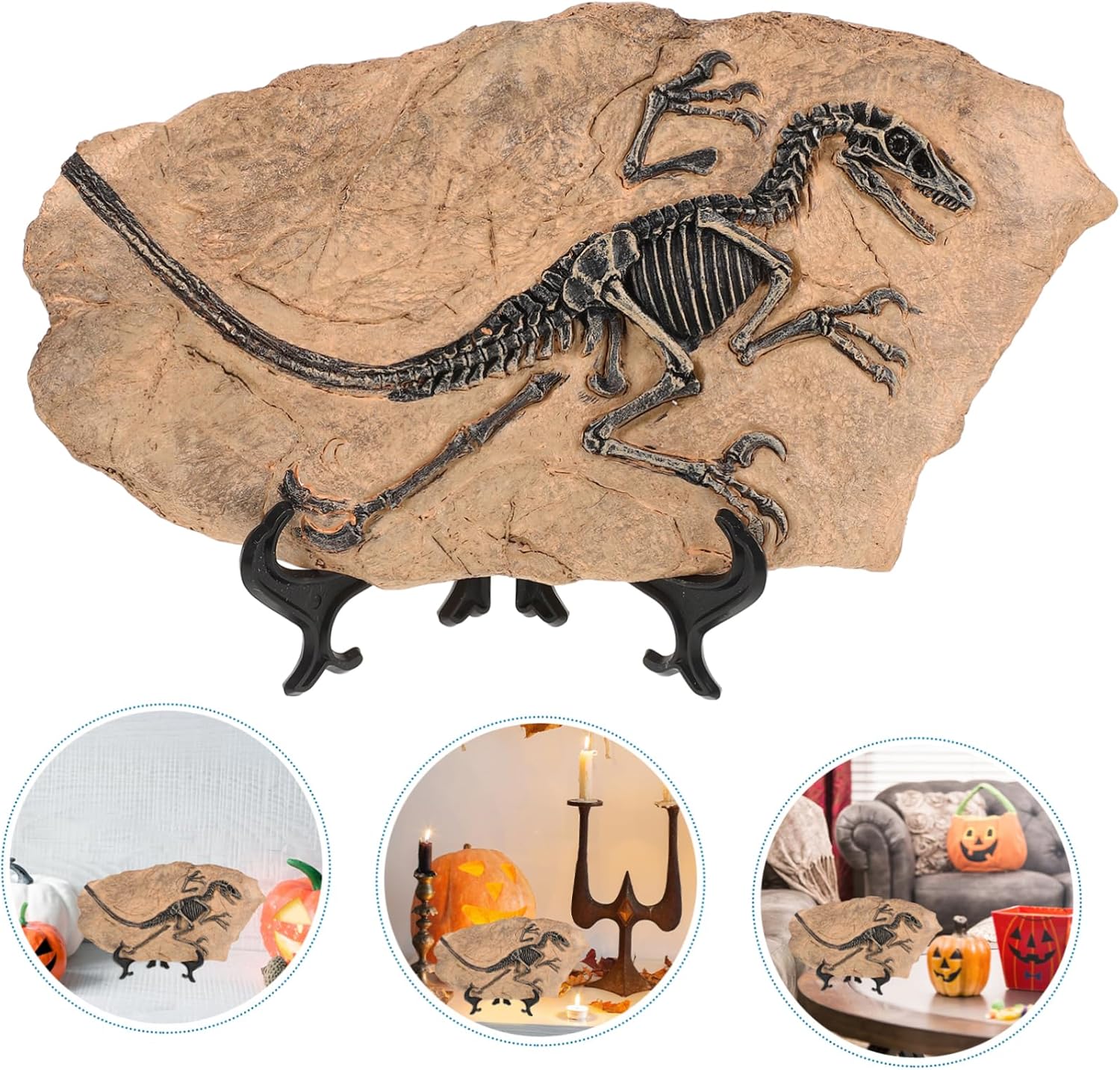 Statue Squelette Dinosaure En Résine - Décoration Bureau Ou Collection - Plusieurs Tailles Et Styles