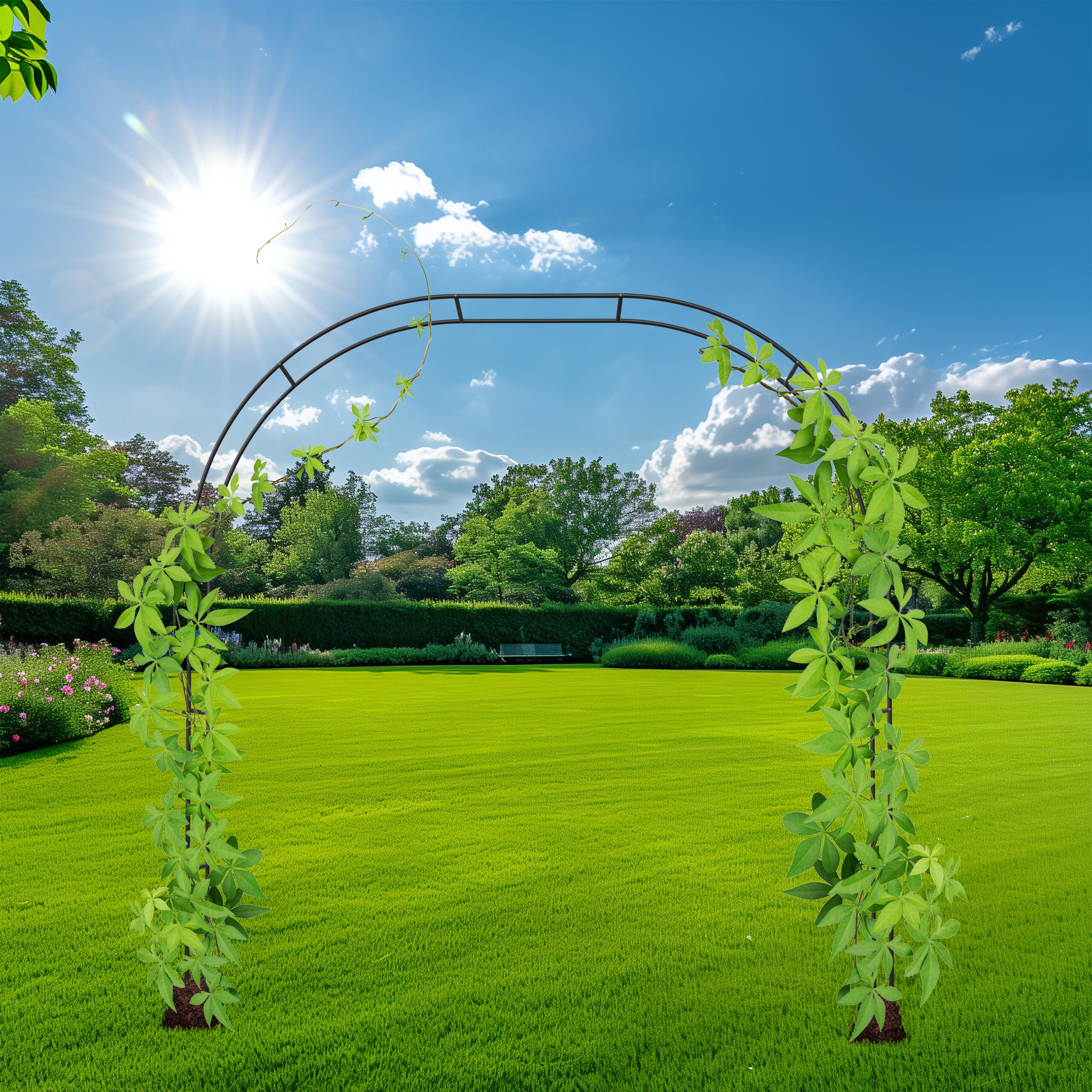 Arche à rosiers, métal, treillis, jardin, H : 250 cm, 2 largeurs : 235 ou 180 cm, plantes grimpantes, noir, Relaxdays - 2