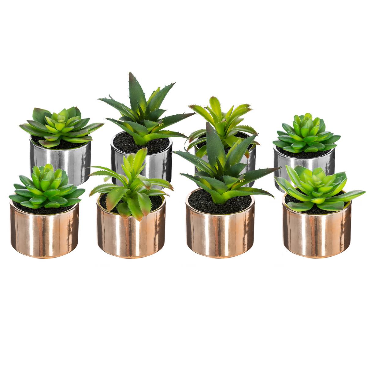 Plante Verte Pot Céramique H.15 Multicolore - Atmosphera Créateur d'intérieur - 6