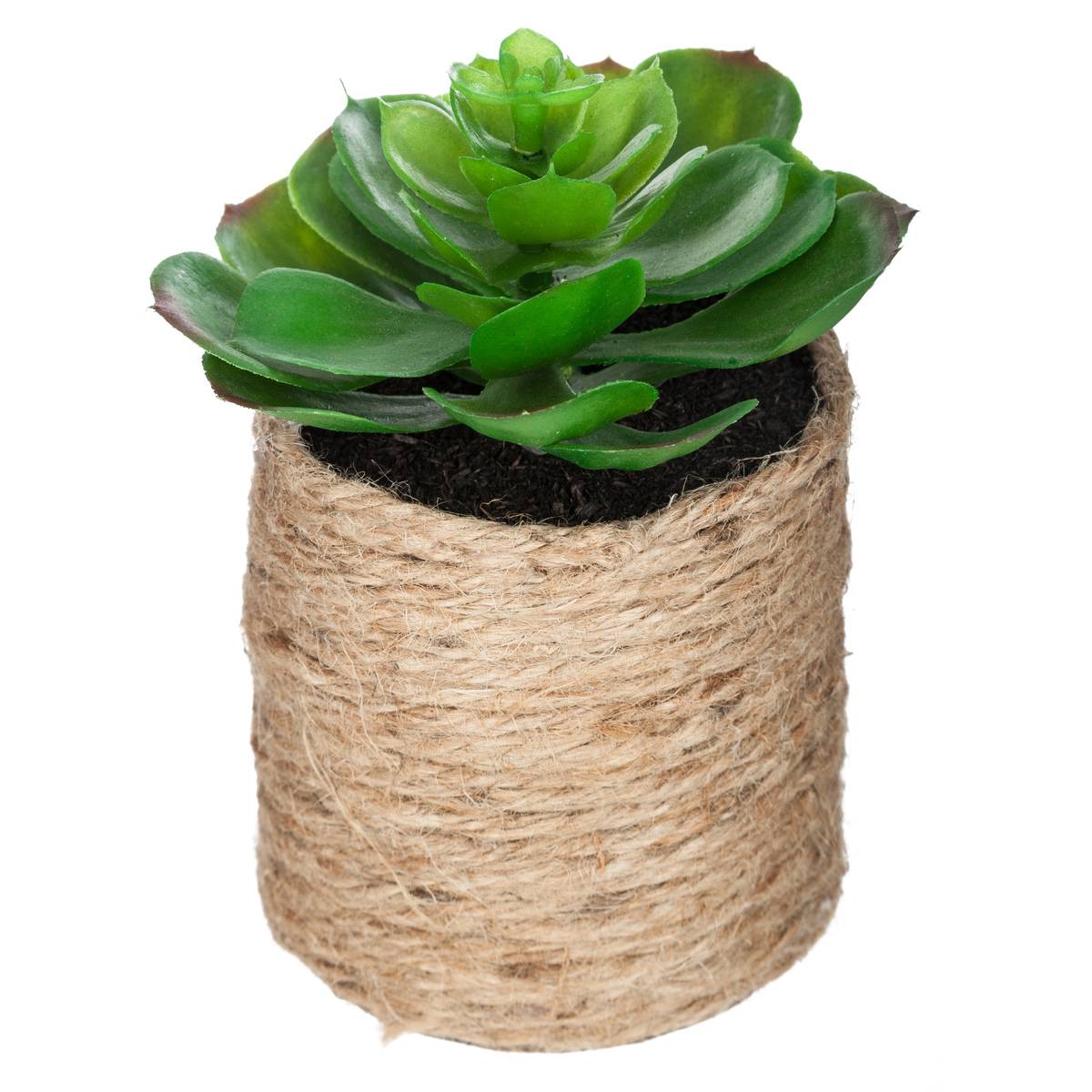 Plante Artificielle H16cm Multicolore - Atmosphera Créateur d'intérieur - 2