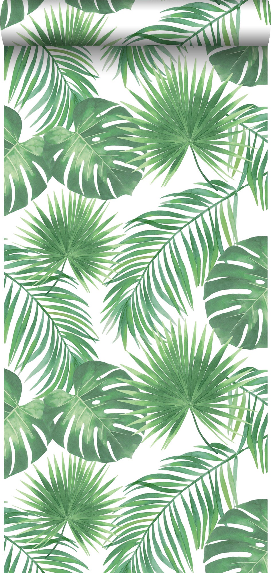 Papel pintado hojas tropicales verde - 53 cm x 10.05 m - walls4you