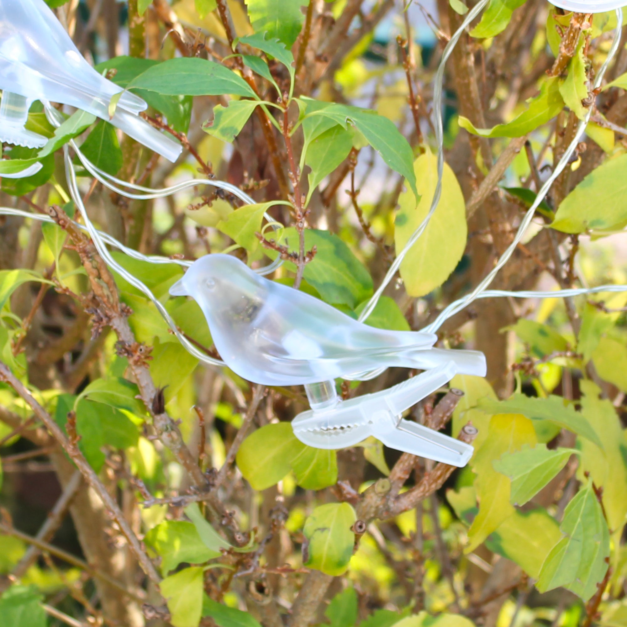 Ghirlanda luminosa uccelli solari FISHTEC 5 uccelli LED multicolore staccabili Pannello solare Decorazione giardino balcone terrazza - 9