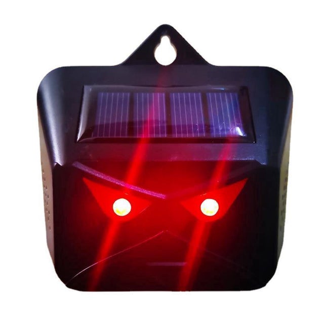 Repellente solare per uccelli (nero), lampada anti-predatori - Repellente per zanzare Garden Fox - Repellente per zanzare per animali