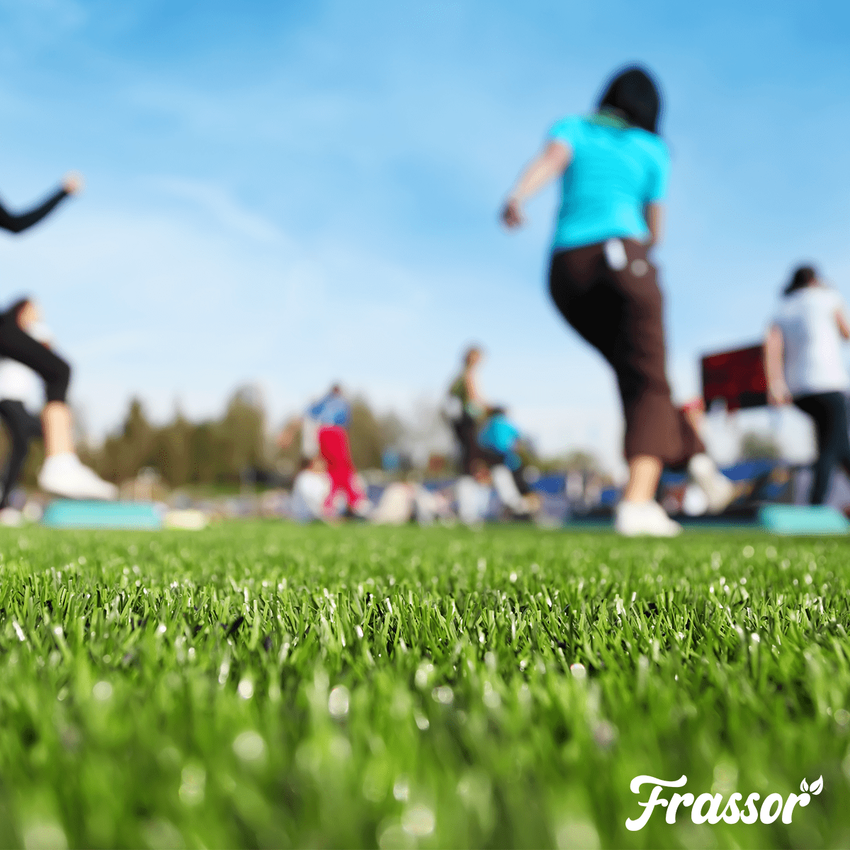 Semence Gazon Sport Et Jeux - Résilient - 5 Kg Pour 250 M2 - Organifer - 5