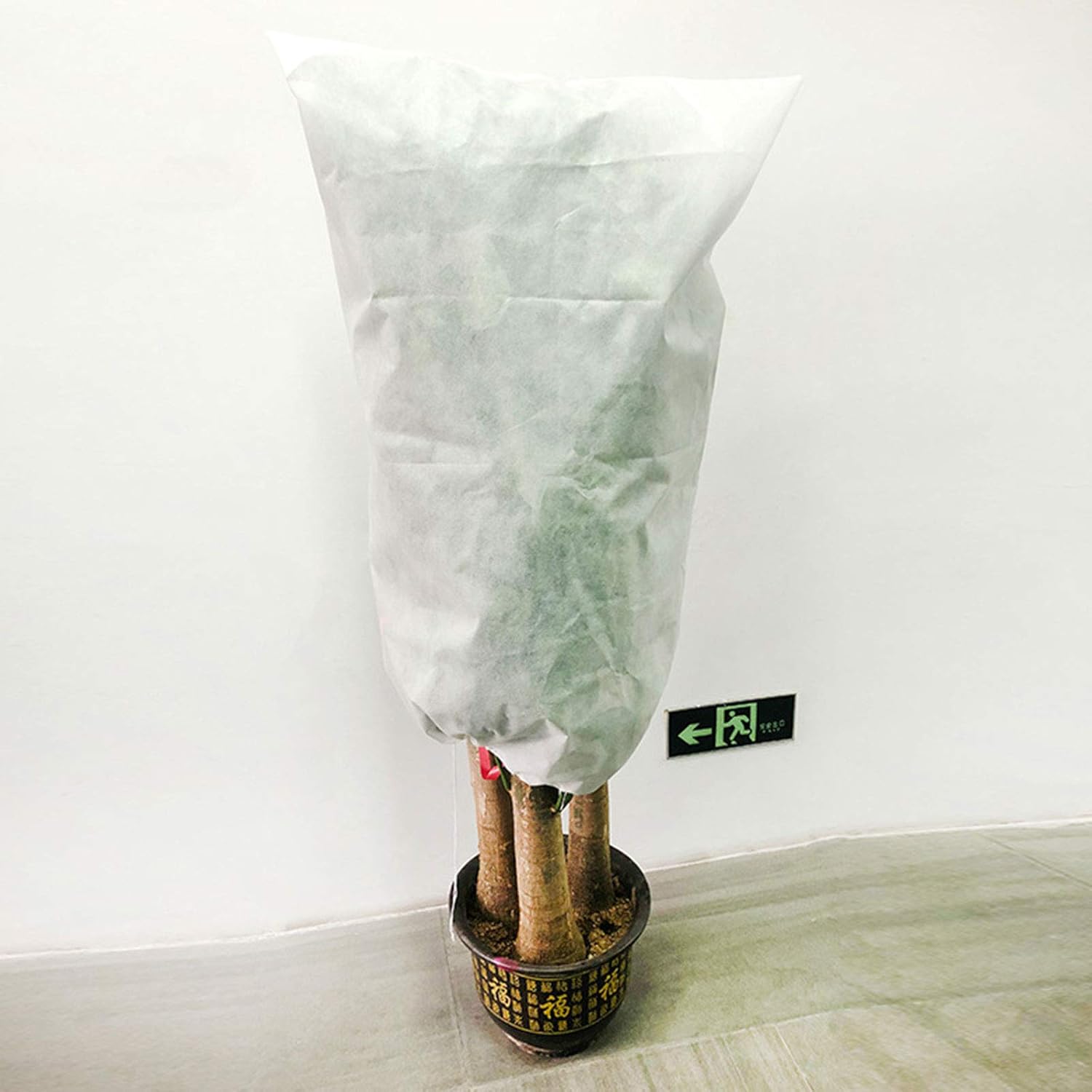 Housses de protection contre les escargots pour plantes de jardin, sacs de protection contre le gel pour plantes d'hiver pour plantes, 100×80cm, blanc - 3