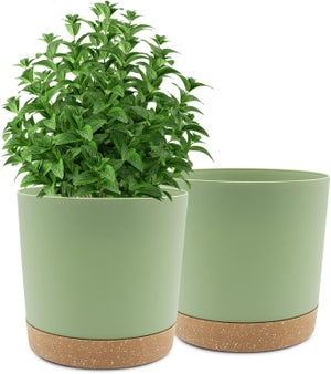 Vaso Per Piante In Ceramica Bianca Con Sottovaso - Design Moderno Per Interni