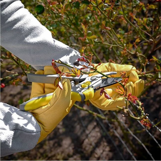 Rete antispina Giva Nazionale per raccolta olive 6 X 12.50 Rete antispina Giva Nazionale per raccolta olive 6 X 12.50