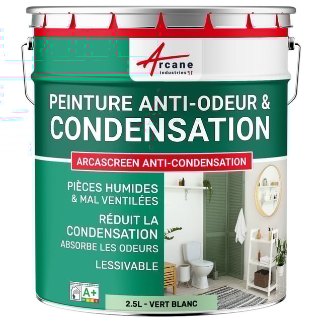 Peinture anti-condensation, anti odeur pour pièces humides : ARCASCREEN ANTI CONDENSATION Vert Blanc - RAL 6019 - 2.5 L - ARCANE INDUSTRIES