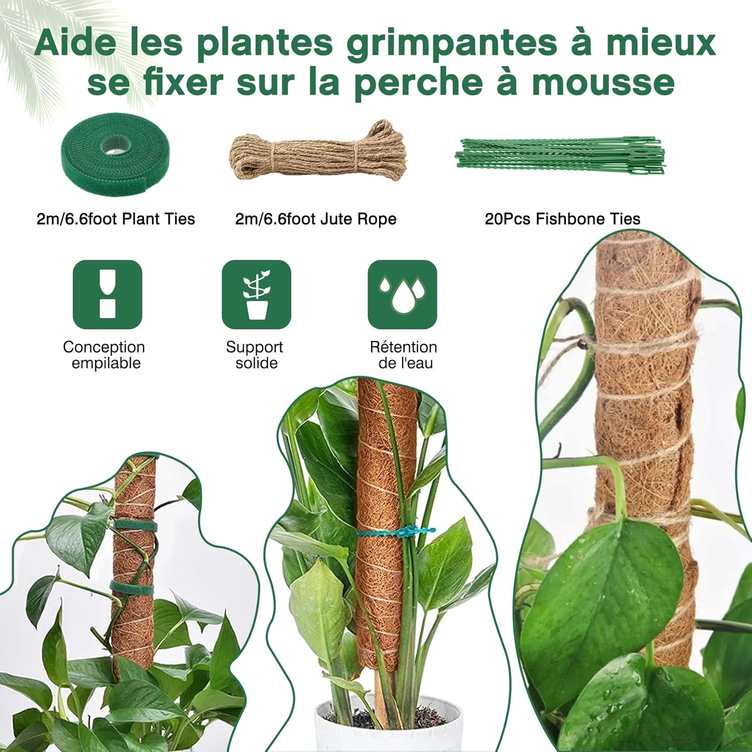 Lot de 4 Tuteurs pour Monstera–40cm(Extensibles jusqu'à 193 cm)–En Fibre de Coco–Support Modulable pour Plantes Grimpantes–Idéal pour Monstera - 5