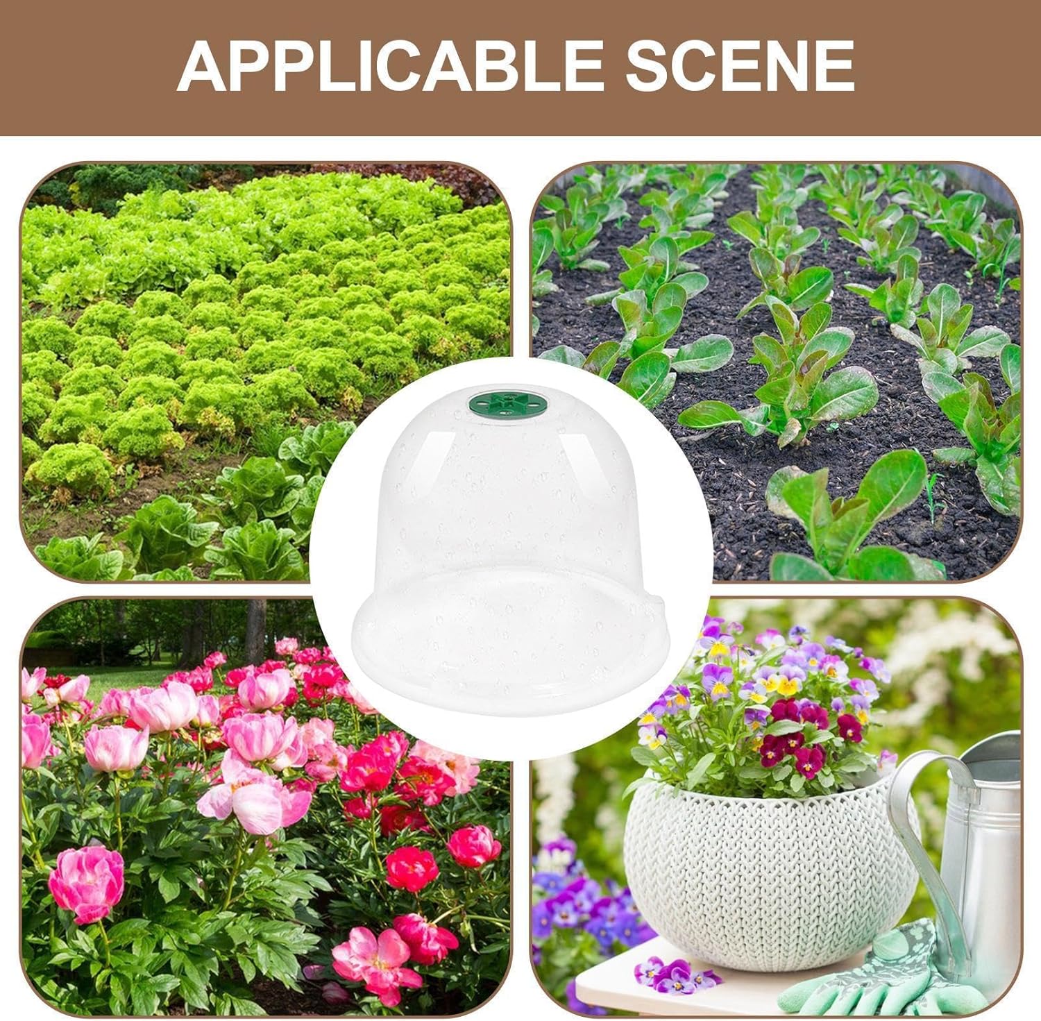Generisch Lot de 10 Cloches de Jardin Transparentes réglables pour protéger Les Contre Les escargots et Les Oiseaux - 5