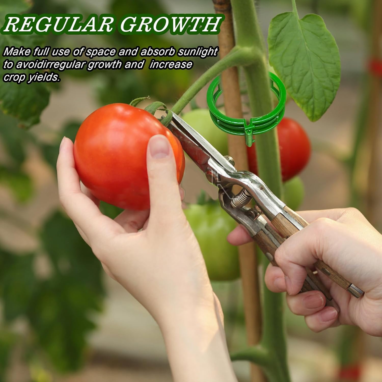 100 Pieces Clips Tomate pour Plantes,Plant Support Clips de Jardin,Tomates Clips de Support de Plantes ​Clip - 4