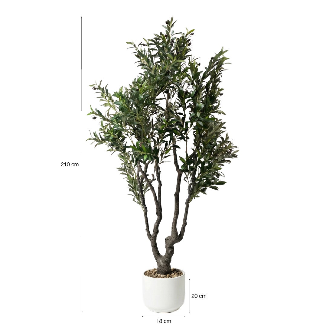 Planta artificial decorativa Olivo de 210 cm en maceta color verde - 5