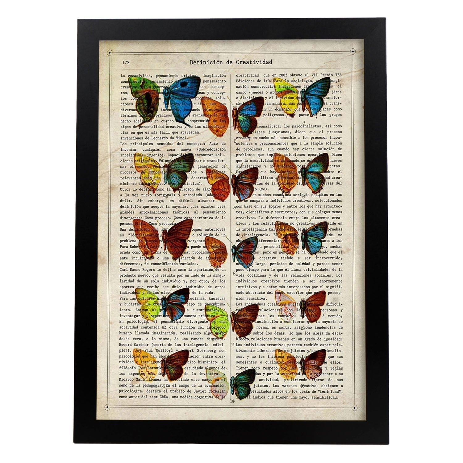 Affiche De La Collection De Papillons. Papillons. Décoration Des Papillons Et Des Papillons Cadre Noir A3 88980739