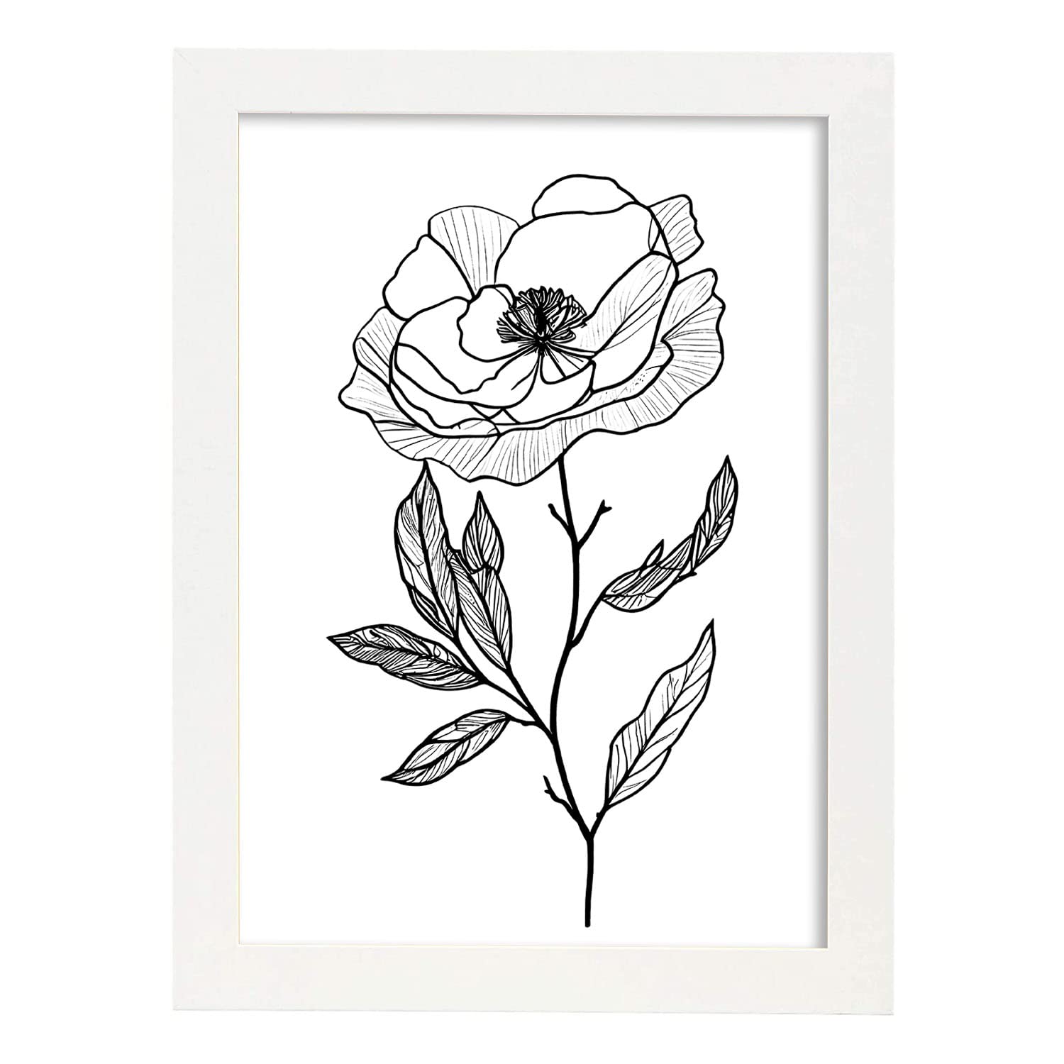 Nacnic poster de camelia estilo nórdico ilustraciones de botánica con flores y plantas en blanco y negro diseño y a3 con marco blancos