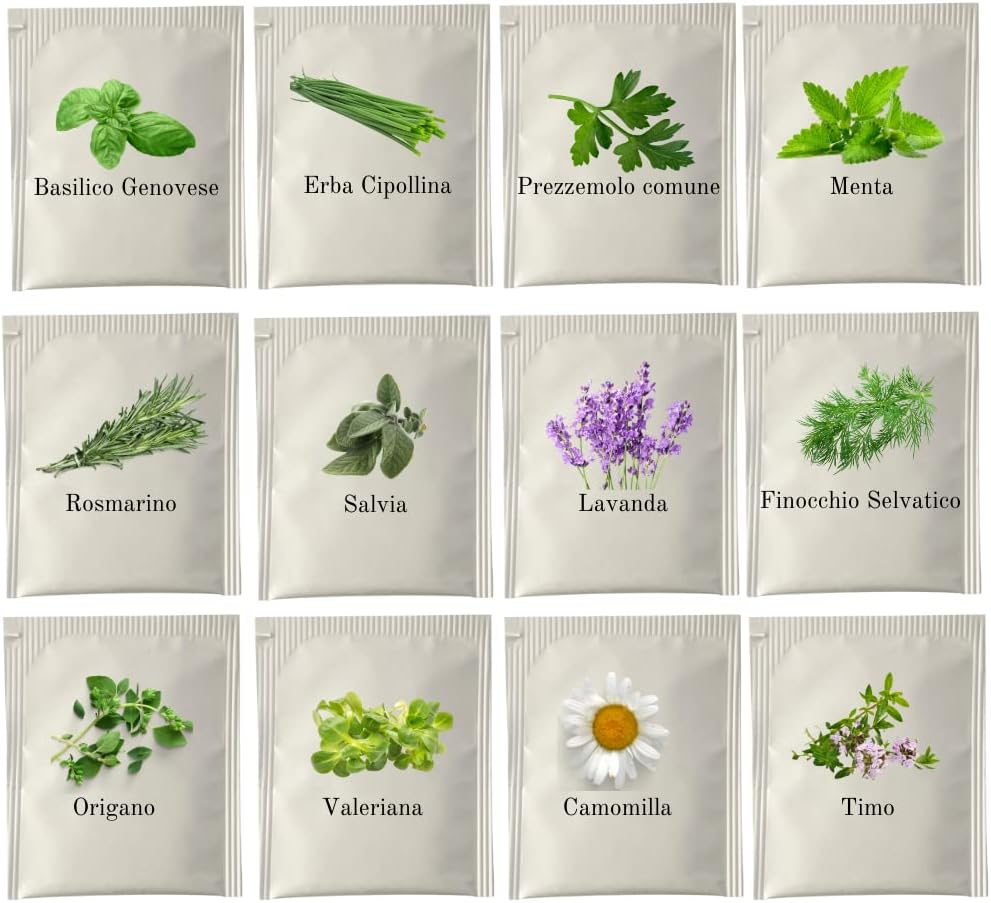 12 Erbe Aromatiche Semi: Basilico, Erba Cipollina, Prezzemolo, Menta, Salvia, Lavanda, Finocchio, Origano, Valeriana, Camomilla, Timo, Rosmarino - 2