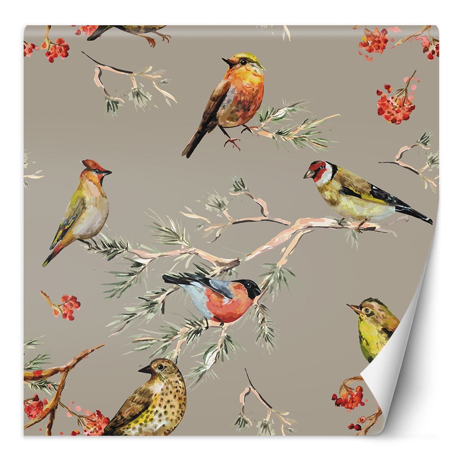 Papier peint mural, Oiseaux colorés - 300x300 | Leroy Merlin