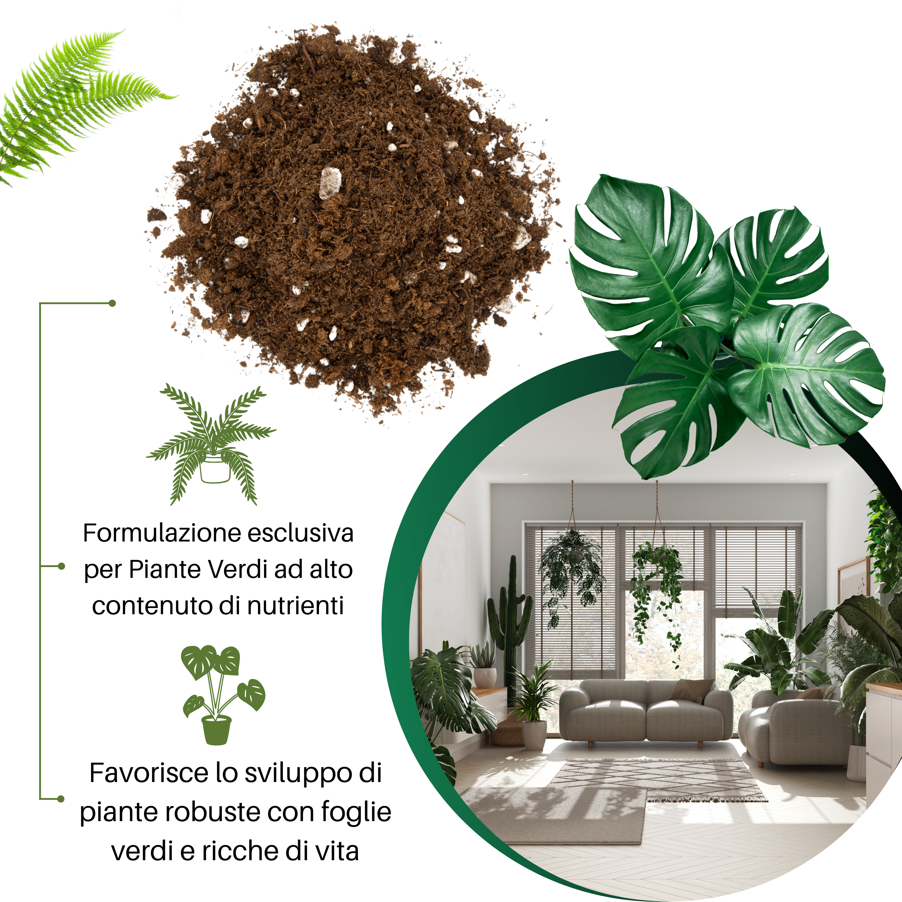 Terriccio per Piante Verdi | Nutrimento Prolungato e Crescita Sana | Ideale per  Monstera, Photos, Dracaena e tutti le piante verdi5L- GebEarth | Leroy  Merlin