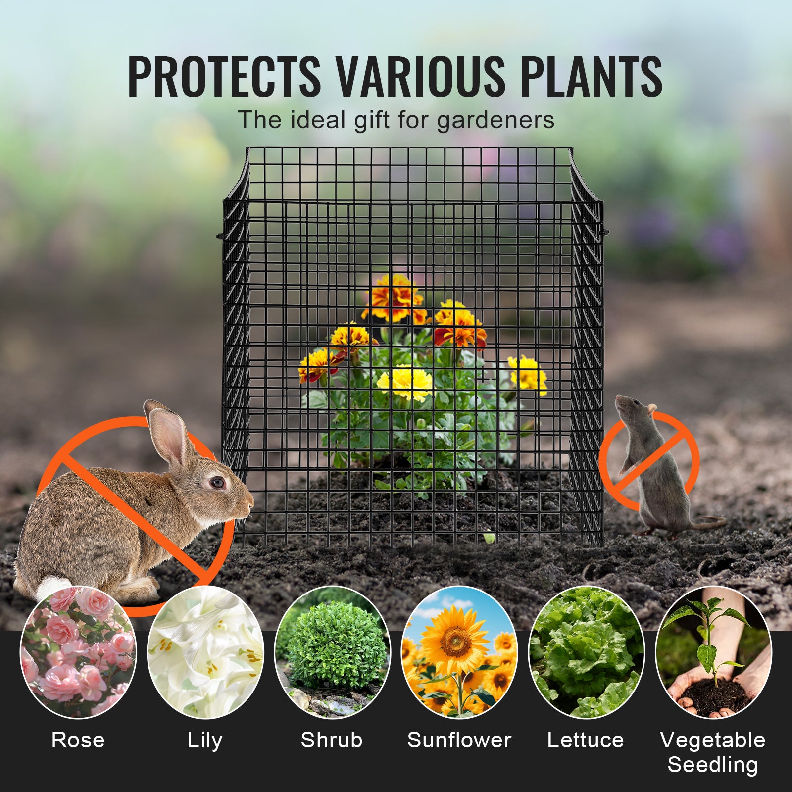 Lot 10 cages grillagées SucceBuy pour plantes 30,5 x 30,5 cm, clôtures extérieures pour plantes pour fleurs, légumes, garde les animaux à l'extérieur - 8