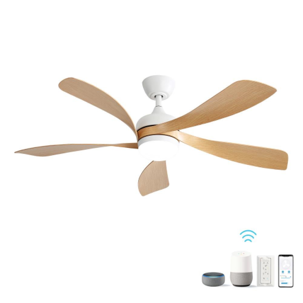 Ventilateur de plafond 52