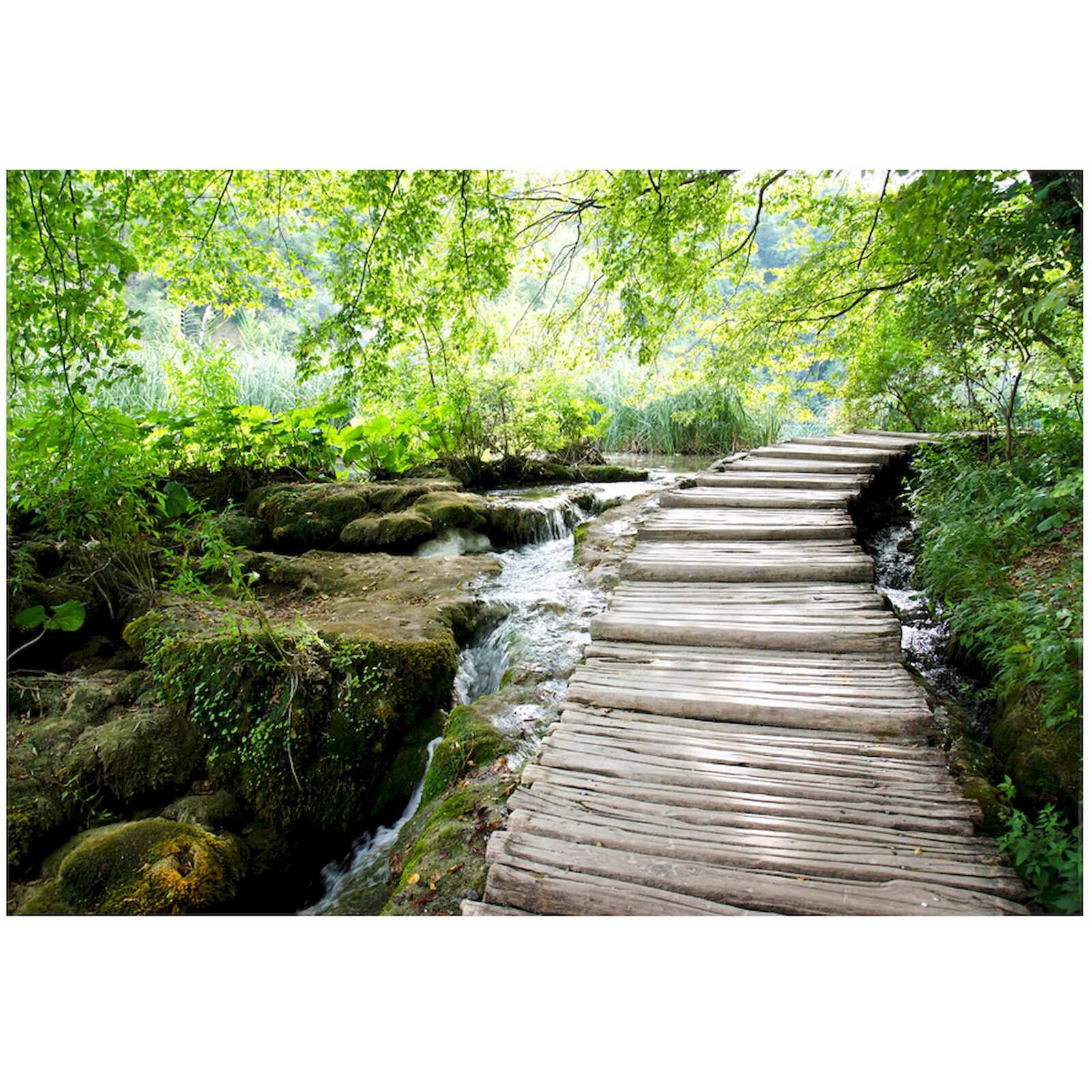 Papier peint adhésif Chemin forestier - 294 x 210 cm - 2