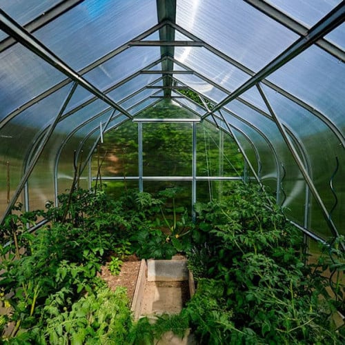 Serre de jardin KLASIKA Standard 10m2, 2,5m x 4m, 6 mm avec revêtement en polycarbonate (Avec 2 toits ouvrants automatiques) - 8