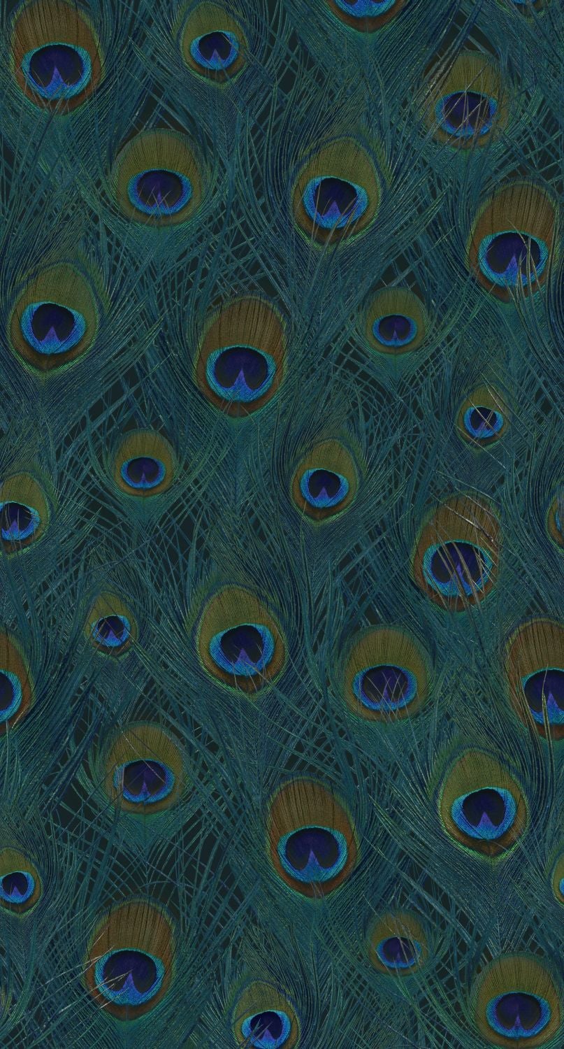 Fototapeta Pawie pióra morskiej zieleni - 150 x 279 cm - ORIGIN