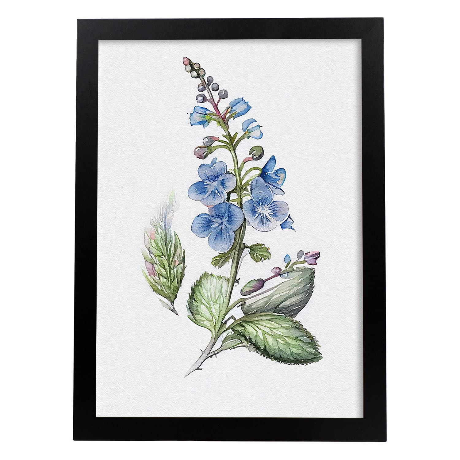 Nacnic poster de verónica estilo nórdico ilustraciones de botánica con flores y plantas en acuarela diseño moderno y modelo 3 a3 con marco negro