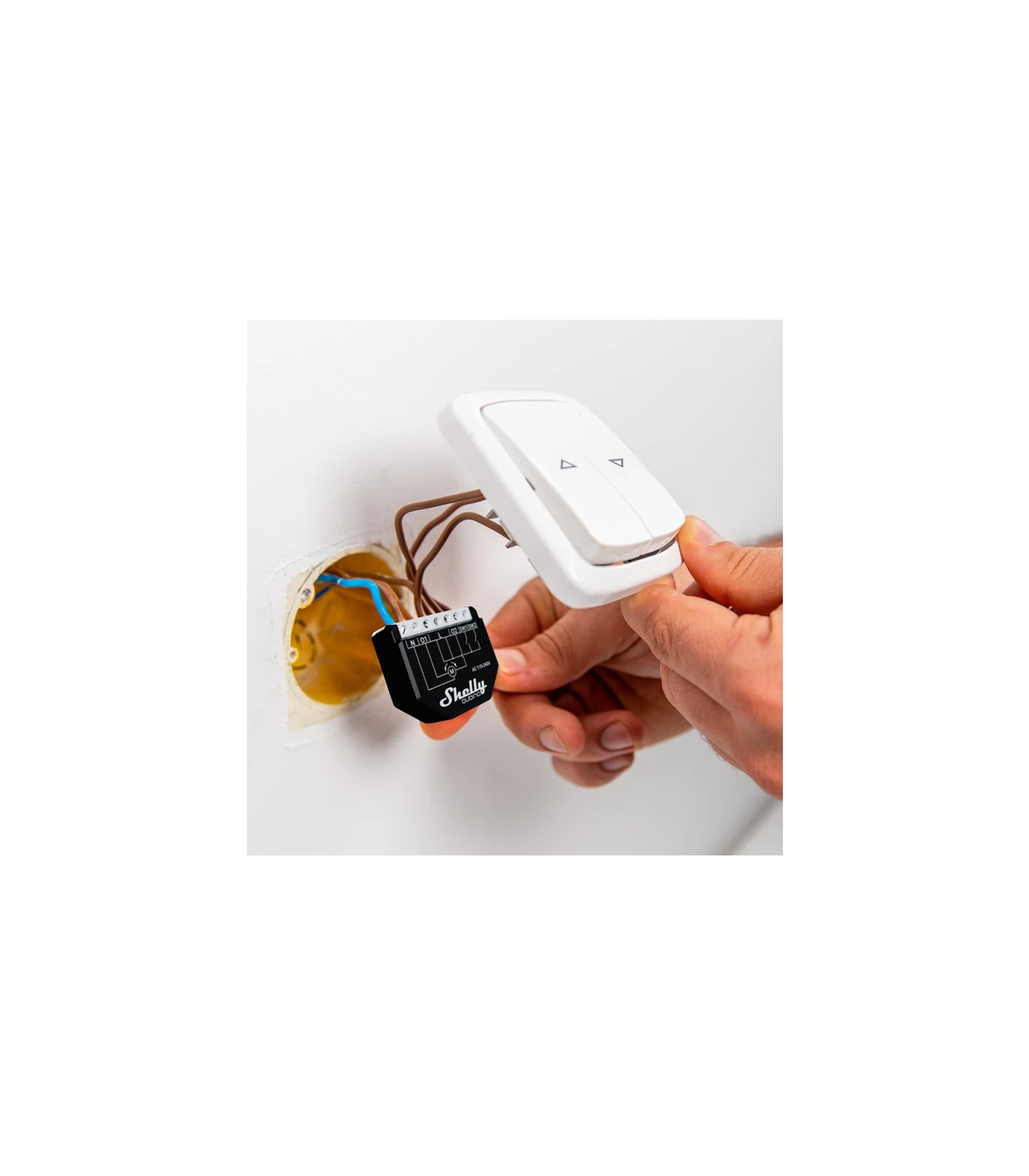 Shelly Shelly Qubino Wave Shutter Actionneur de volet roulant Z-Wave, Z ...