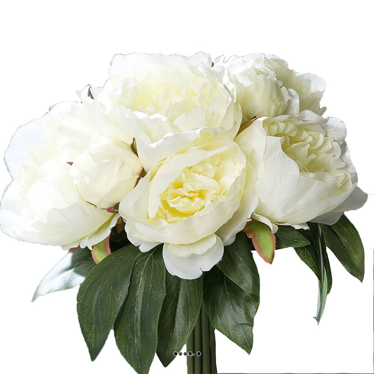 Bouquet De Pivoines Artificielles Crème 7 Têtes Diametre 35 Cm Leroy