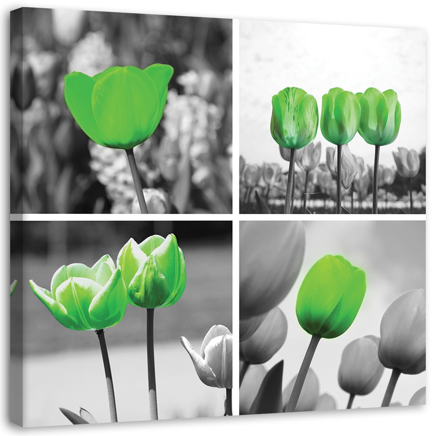 Obraz na płótnie, Zielone tulipany kolaż 30x30