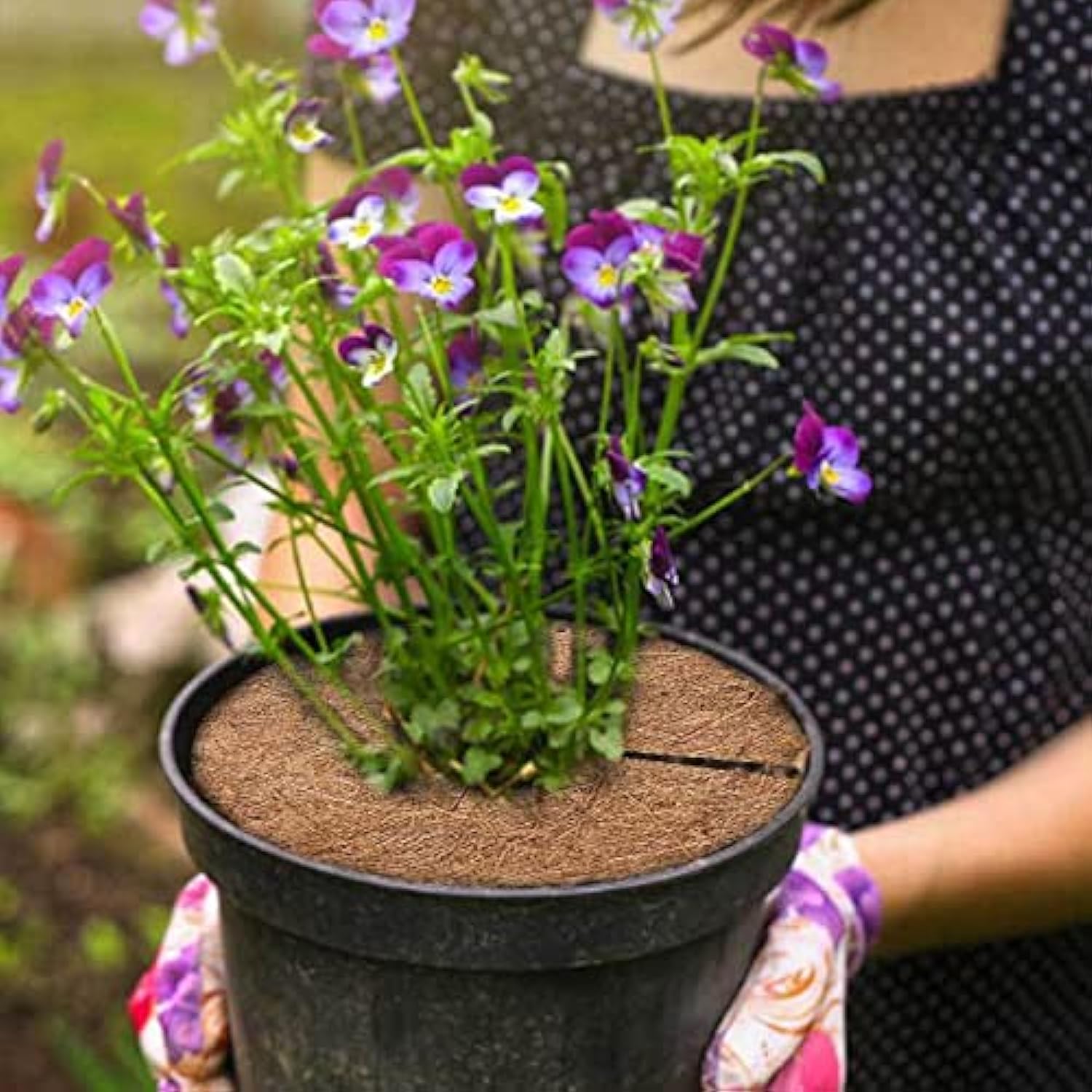 6 Tapis De Coco Pour Plantes - 15cm Et 20cm - Protection Hivernale, Anti-mauvaises Herbes - Paillis Naturel Biodégradable