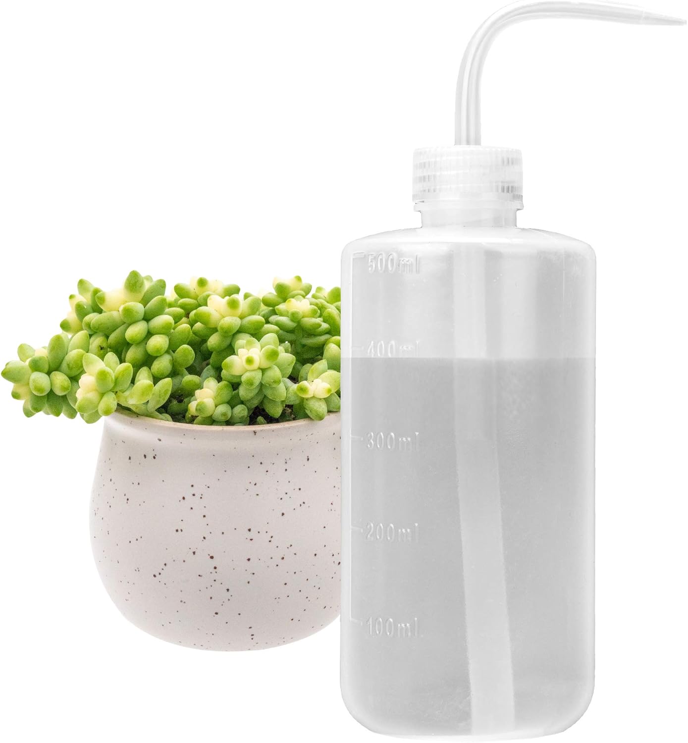 Annaffiatoio in plastica da 5 litri, verde chiaro