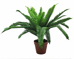 Pianta artificiale con base in cemento di 30 cm di altezza FELCE ADIANTUM Decoplanta