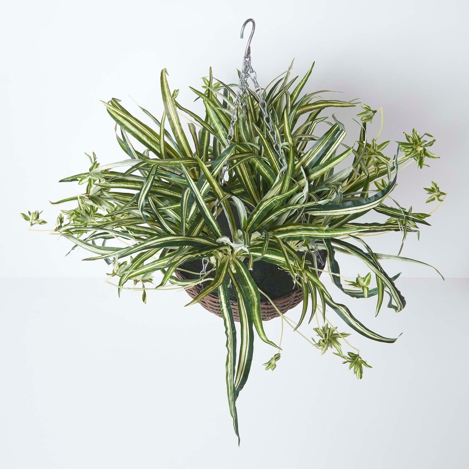 Homescapes Panier à suspendre Plante artificielle Chlorophytum - 2