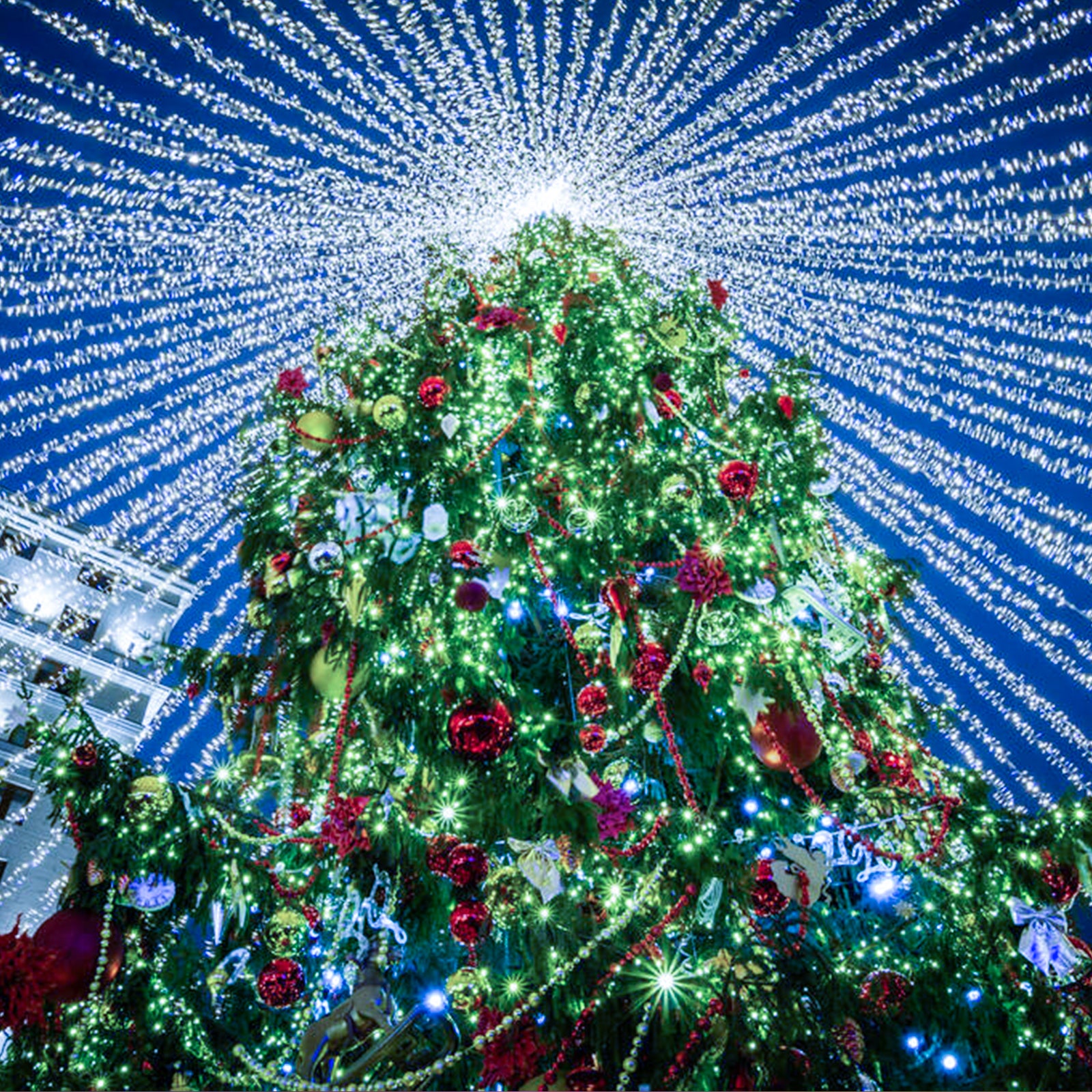 LED Guirlande Lumineuse 200M 1000LED Noël 8 modes IP44 Etanche Extérieur Intérieur Jardin Lumineux Décoration Carnaval Mariage Déco blanc Froid - 9