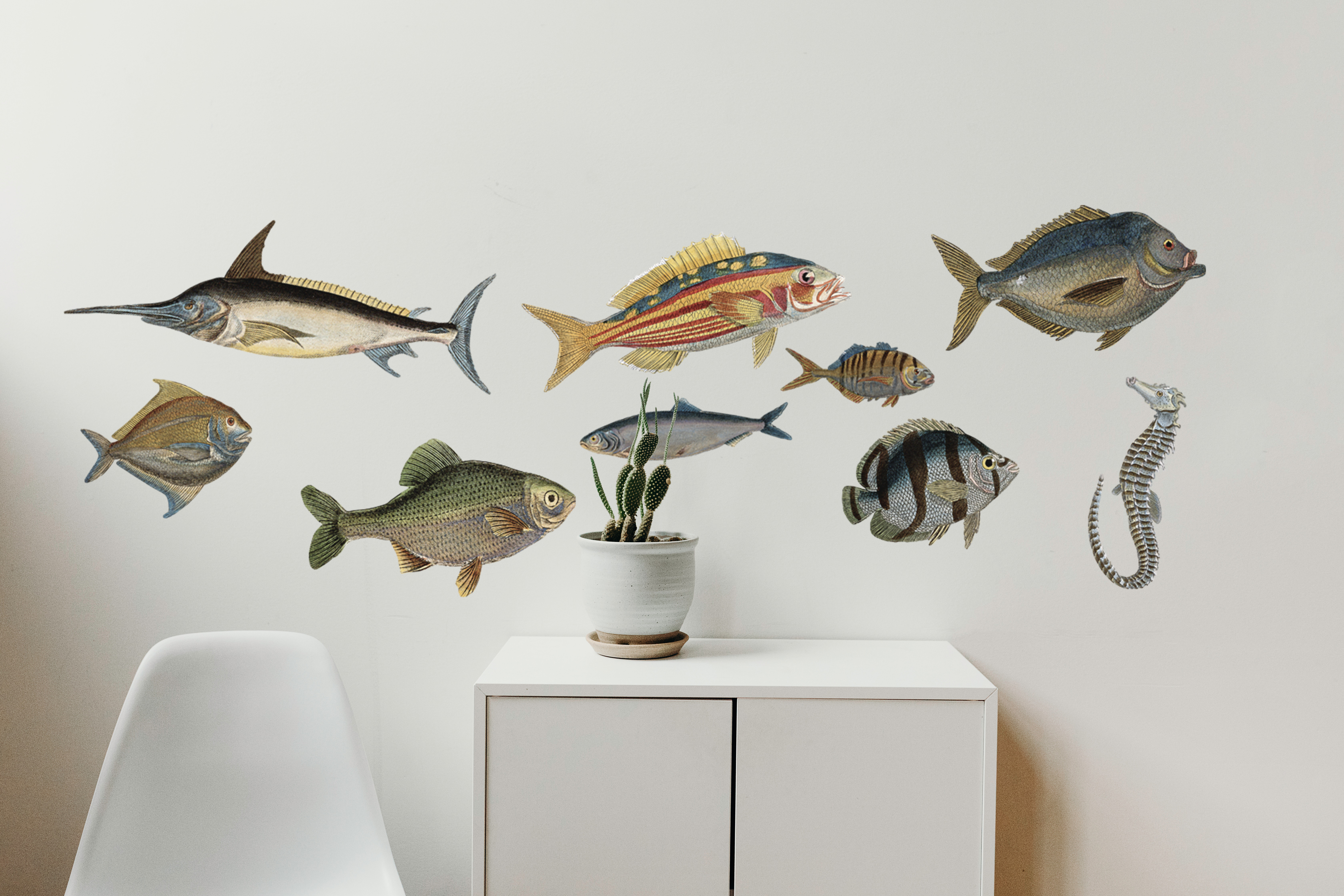 Stickers y vinilos decorativos, grabados de pescado, 48 cm x 68 cm