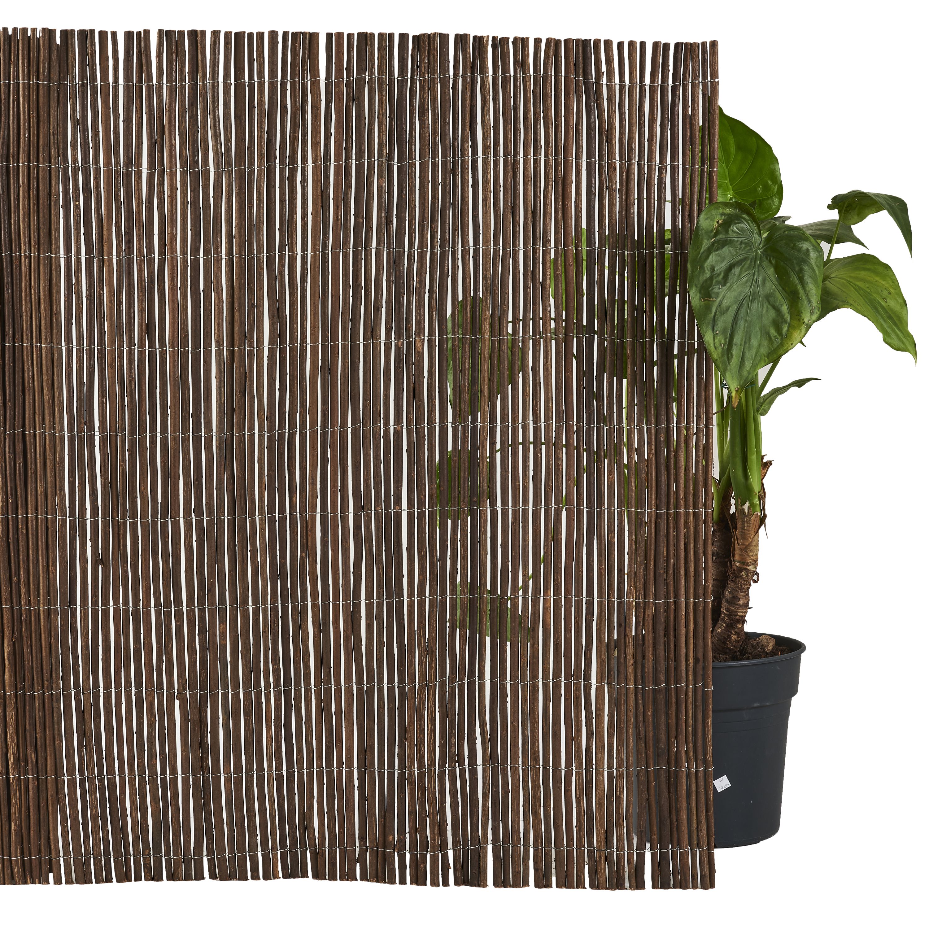 Canniccio in vimini decorativo naturale, 3 kg/m², H.1,5 x L.3 m, NATERIAL - 3
