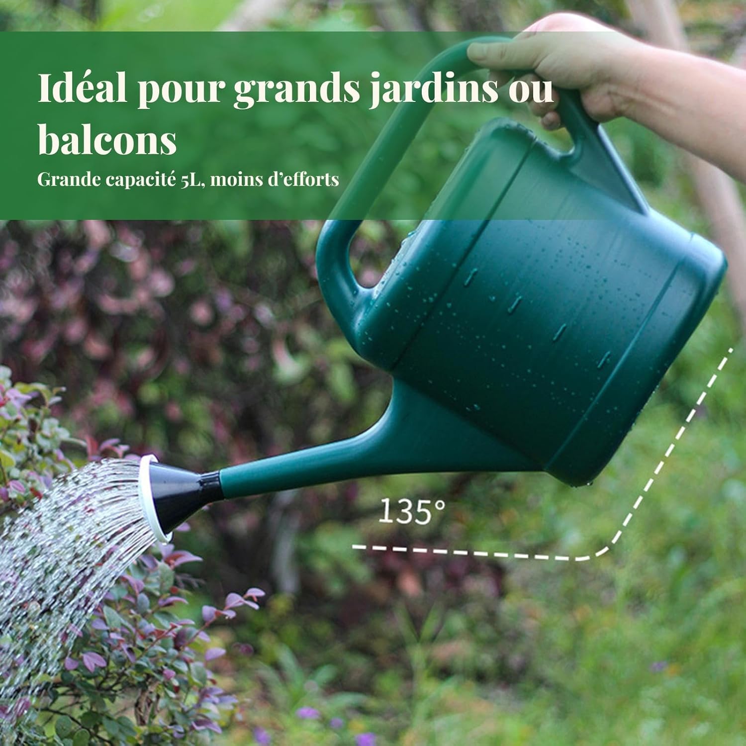 Arrosoir de Jardin, Pot d'arrosage Domestique, Outil de Jardinage, Bouilloire d'arrosage pour pelouse, Potager, bonsaï, 5L - 3