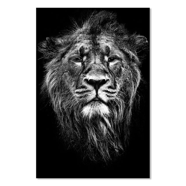 Affiche animaux portrait de lion noir et blanc - 40x60cm - made in France