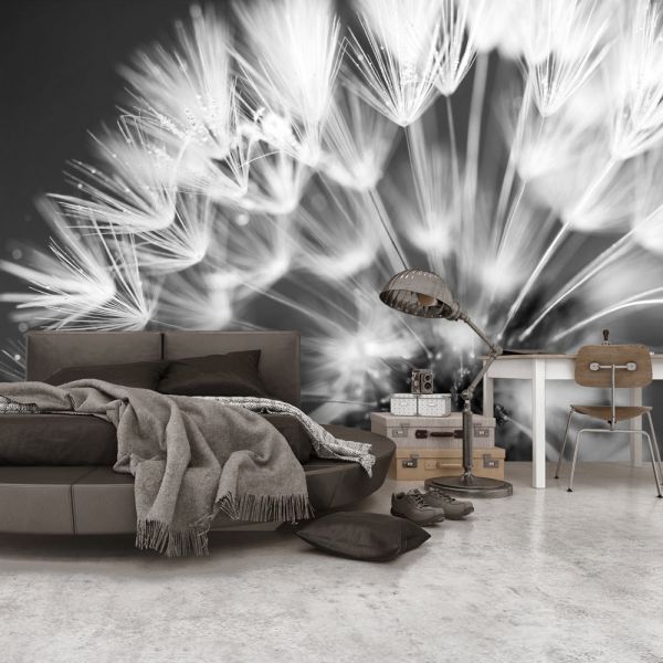 Papier peint intiss panoramique Fleurs Dandelion: Kiss of the Morning ...