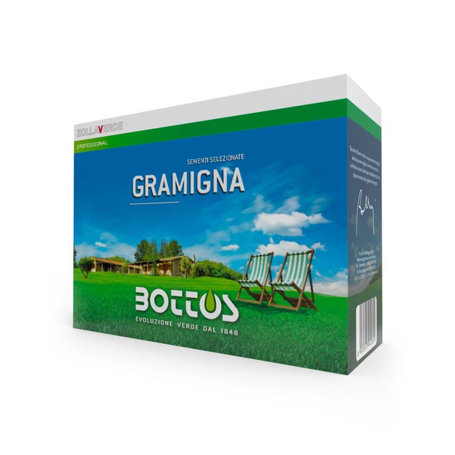Gramigna Comune - 500g Bottos seme professionale per prato Couch Grass