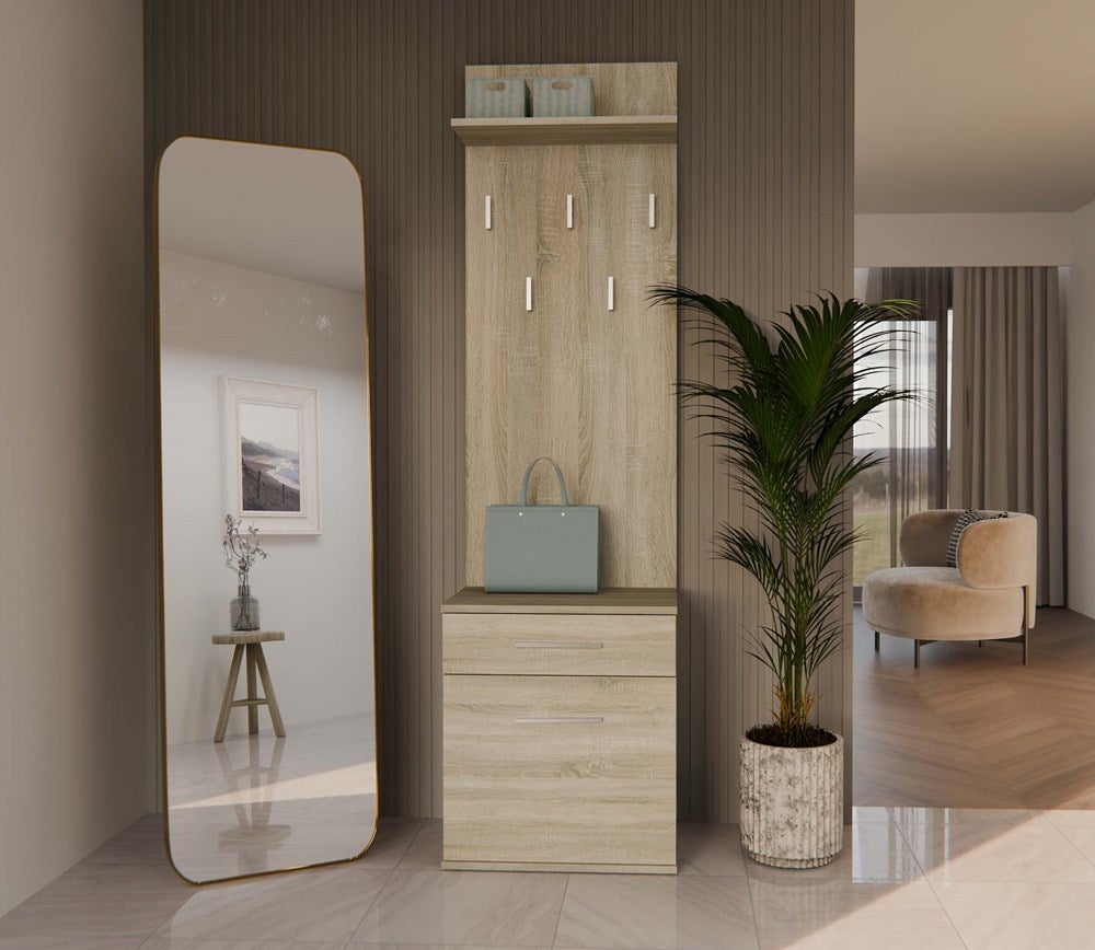 VIONI - Armadio guardaroba ingresso - Appendiabiti a parete con ripiano - 5 ganci - Cassetto + contenitore - 7