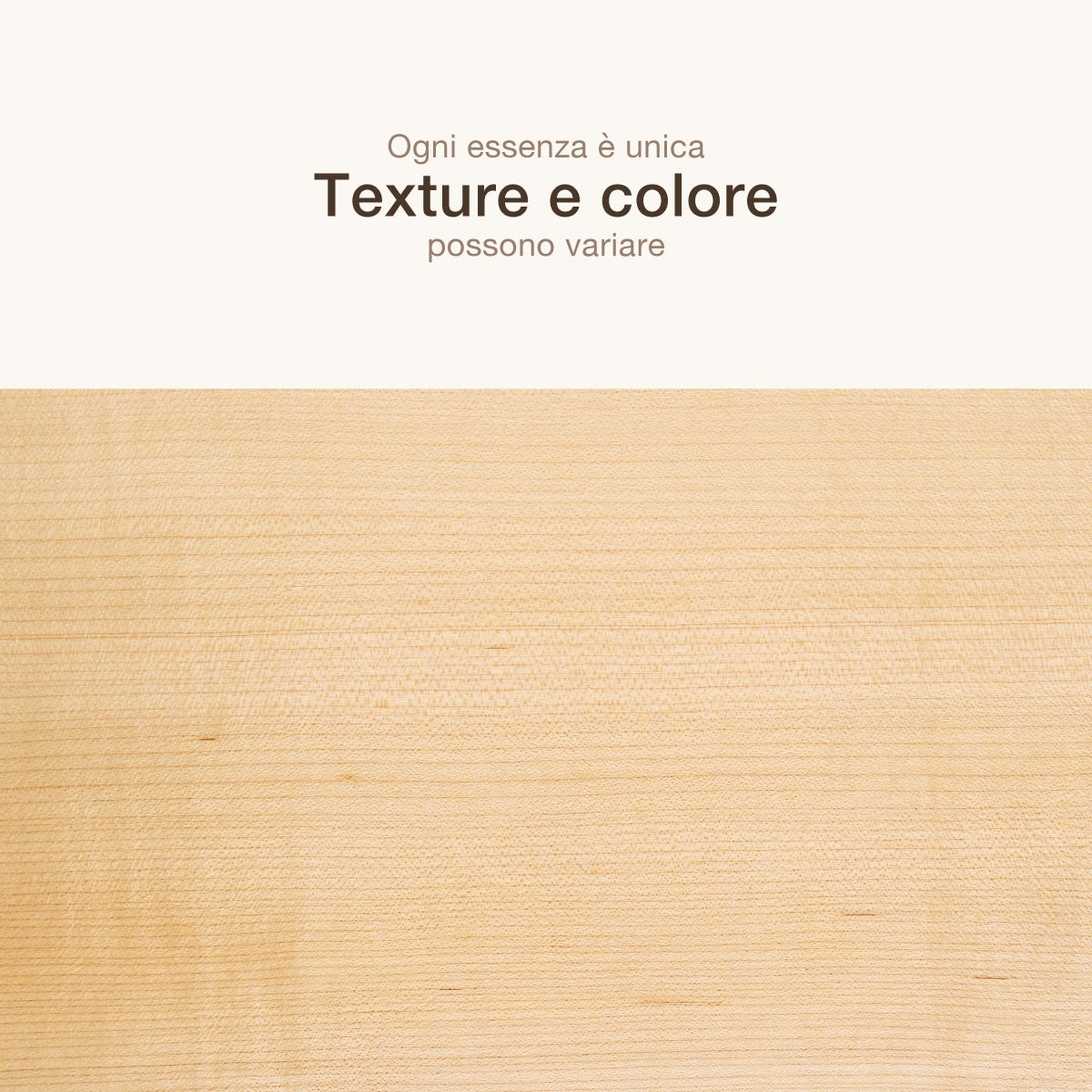 6 FOGLI DI IMPIALLACCIATURA IN LEGNO DI ACERO AMERICANO - 4