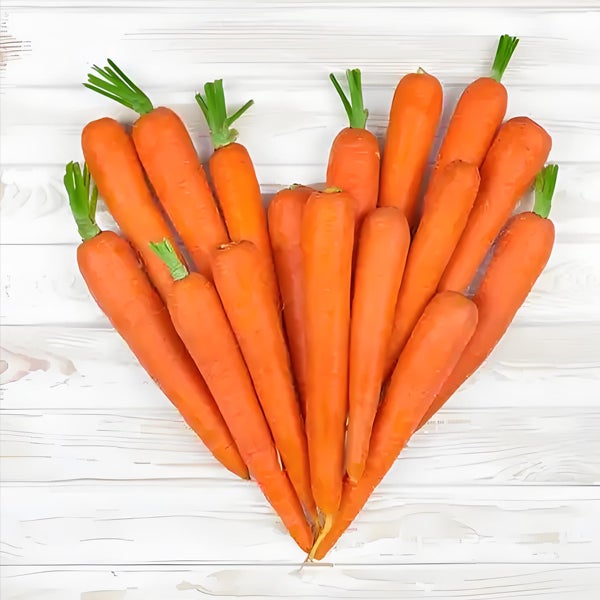 Carottes pour Pots Profonds - 200 Graines - Variété Naine pour Balcon et Terrasse - Culture Facile de Légumes - 3