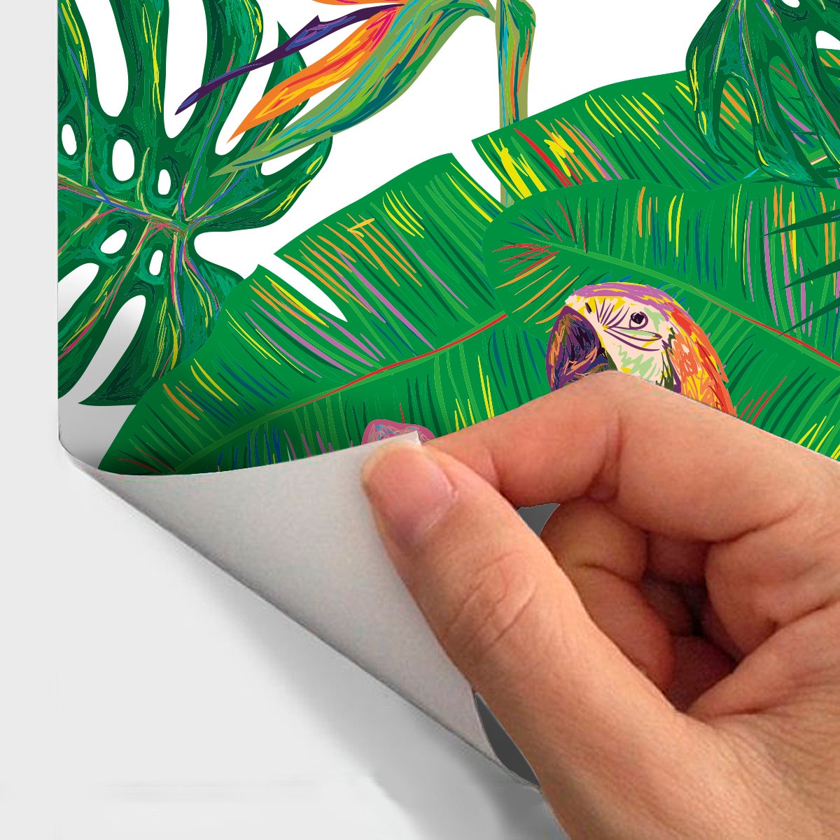 Adesivo arazzo tropicale Bogota - Sticker adesivo - adesivi murali - 40x40cm - 4