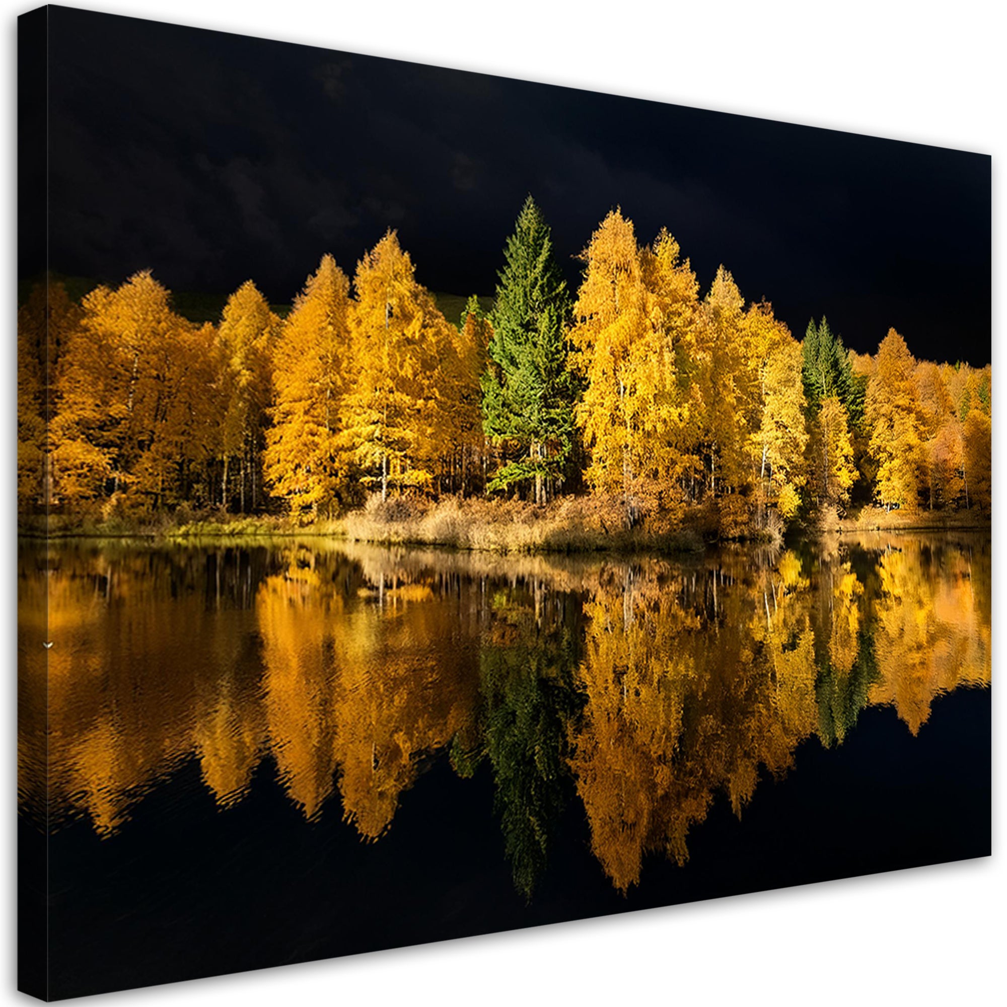 Obraz na płótnie, Las Jezioro Drzewa Natura 90x60