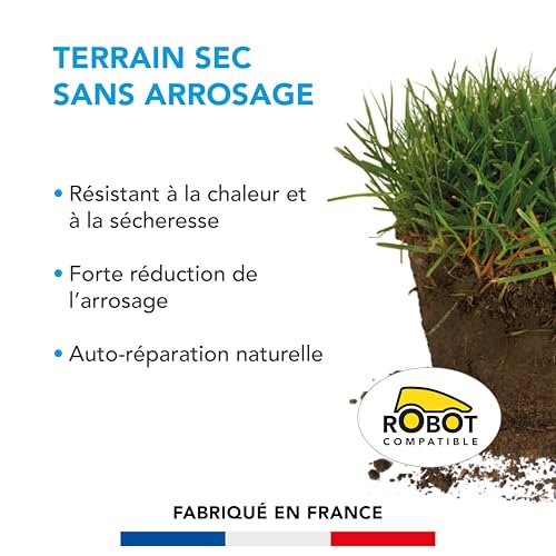 BARENBRUG - Gazon Terrain Sec sans arrosage - Résiste à la Chaleur et à la Sécheresse - Forte Réduction de l'Arrosage - Autoréparation Naturelle - 5KG - 2